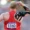 Sports Performance and Injury Prevention