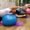 Physiotherapy Curriculum