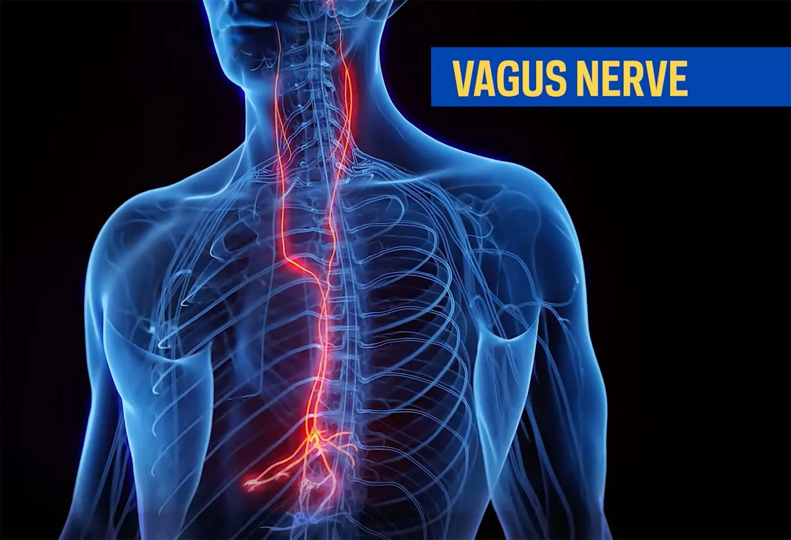 Vagus Nerve Injury