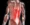 Multifidus Strain