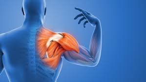Rotator Cuff Injury