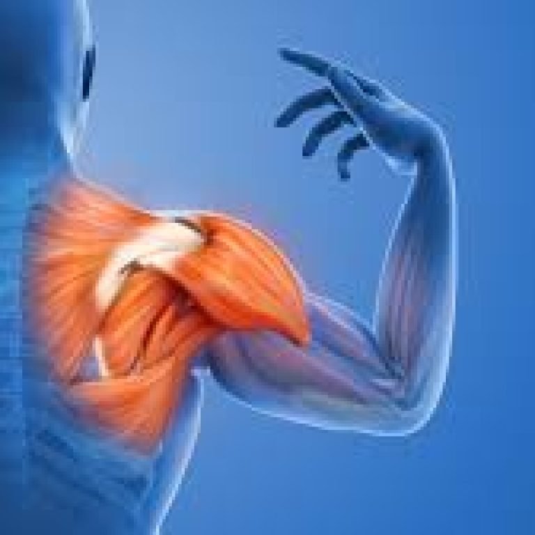 Rotator Cuff Injury